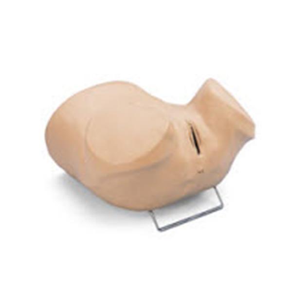 Nasco Company Gynecological Simulator Training Gaumard Each - SB23542U