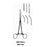 Miltex-Integra Forcep Hemostatic Rochester-Ochsner Meister-Hand 8" Serrated Crv 1X2Tth Ss 1/Ea - MH7-164