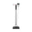 seca 787 - Column Scale with Height Rod Digital Display 550 lbs. Capacity White Battery Operated - 7871821004