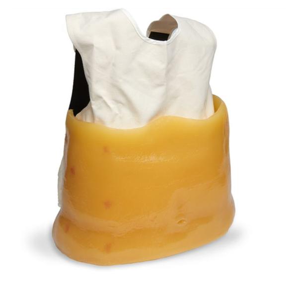 Nasco Company 20 Pound Body Fat Vest Demonstration Life/Form Each - WA15348