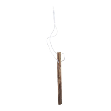 Medgyn Products - Cervical Dilator 70 mm Laminaria Sterile Disposable - 021014