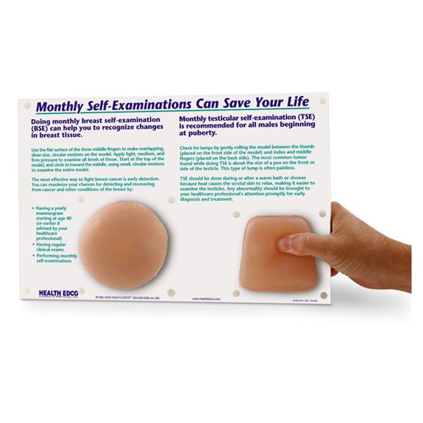 Generic Breast/Testicular Self-Examination Model Anatomical Adult Each - SB34569