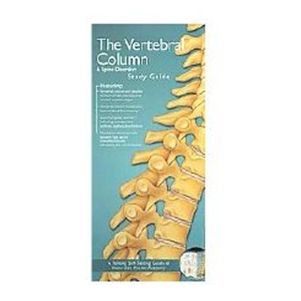 Wolters Kluwer Health Inc Chart Anatomical Vertebral Column & Spine 8-1/2X11" Ea - 9780781776820