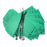 Haws - Equipment Tag For Emergency Sites Green Card Stock 25 per Pack - SP170