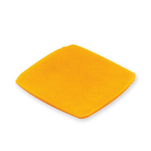 Nasco Company Replica Food Life/Form Slice American Cheese Ea - W06634