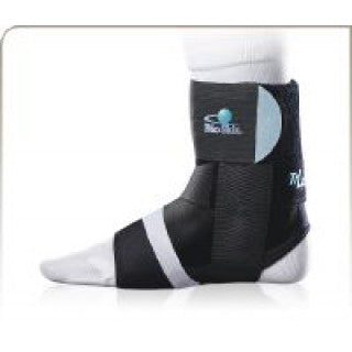 Ankle, Foot and Toe