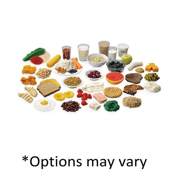 Nasco Company Replica Kit Food Life/Form Myplate 1/Kt - WA29168(X)HR
