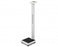 Height Rod For PD300 Digital Physician's Scale