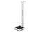 Detecto - Height Measuring Rod Aluminum Scale Mount - MHR