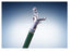 Biopsy Forceps
