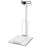 PLATFORM SCALE BASE