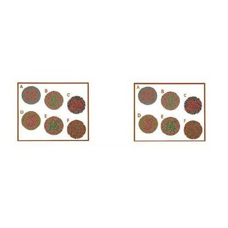 Stereo Optical Company - Vision Screening Slide Lateral and Verical Phoria Test - 2000019