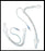 Shiley - Endotracheal Tube 5.5 mm - 76255