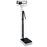 Detecto Scale - Packaging Box For 439 Scale - 7001-X041-2A