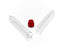 Caplugs Centrifuge Tube Conical Bottom Plain 15 X 120 mm 15 mL Without Color Coding