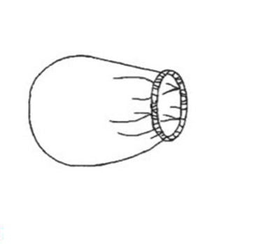 Banded Bag 30 Inch