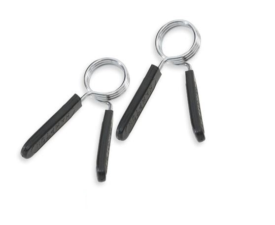 Fitness Systems Collar Lock