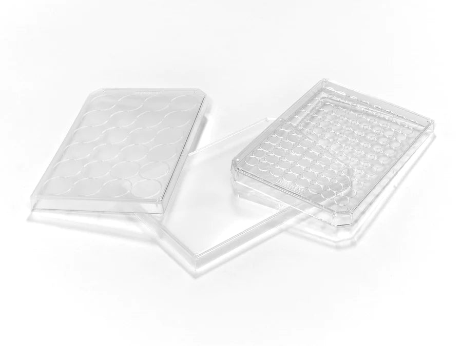 Caplugs - Well Plate Lid Polypropylene For 96 Well Plate NonSterile - 290-8020-03L