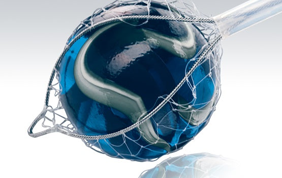 Nakao Spider-Net Specimen Retrieval Device