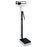 Detecto Platform Scale w Height Rod Eye Level Balance Beam