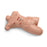 Nasco Company Manikin Training Surgical Sally Each - LF00929U