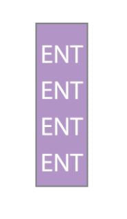 Key Surgical - Pre-Printed Label Multipurpose Label Purple ENT White Pattern 1/4 Inch - T-604-15