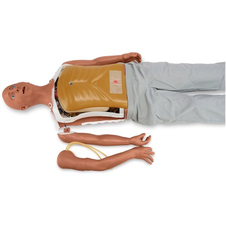 Simulaids ALEX Lite - Patient Communication Simulator Medium Skin Tone Male Full Body 45 lbs. - Nasco Healthcare - 101-7130M
