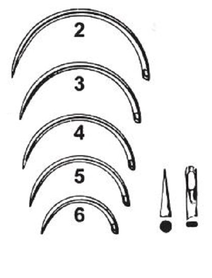 Cincinnati Surgical Cincinnati Surgical Suture Needle 1/2 Circle Taper Point Needle Mayo Catgut Type Size 5 Needle - 98245