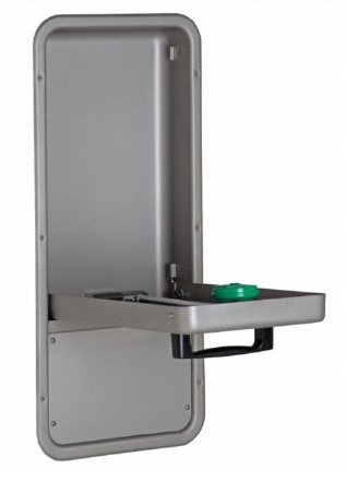 Axion - Eye / Facewash Station Wall Mount 4.2 GPM - 7656WCC