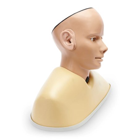 Adam Rouily - Digital Ear Examination Trainer Head / Light Skin Tone Gender Neutral 3-3/4 lbs. - Nasco Healthcare - SB52823