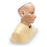 Adam Rouily - Digital Ear Examination Trainer Head / Light Skin Tone Gender Neutral 3-3/4 lbs. - Nasco Healthcare - SB52823
