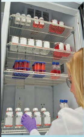 encompass - Refrigerator Shelf Encompass - Thermo Fisher/Barnstead - AY2100X1