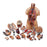Nasco Company Human Torso Model Anatomical Life-Size Ea - SB25326U