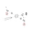 Midmark - Crescent Ring - 042-0066-00
