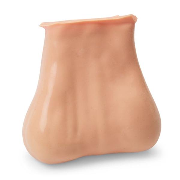 Nasco Company Testicle- 2 Lumps In 1 Model Anatomical Ea - SB41580U
