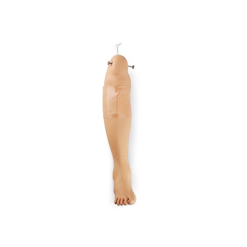 Leg Simulator