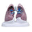 Wards Natural Science Model Lung Set Gpi Anatomicals Ea - 470160-258