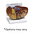 Nasco Company Liver Model Anatomical Ea - SB46336U