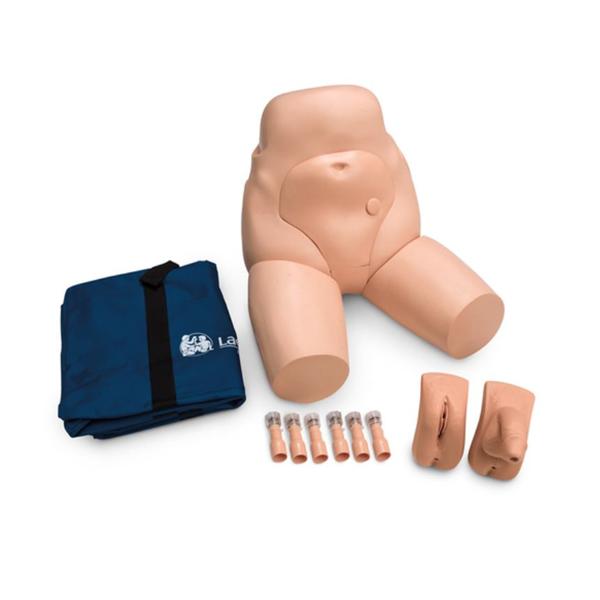 Nasco Company Simulator Training Male/Female Interchangeable Catheterization & Enema Ea - LG02099U