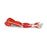 Walter Products Arm Muscle Model Anatomical Life-Size Ea - LA00129U