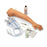 Nasco Company Simulator Venipuncture/Injection Life/Form Adult Ea - LF00698UG