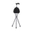 DMS Holdings. Cane Seat Switch Sticks Aluminum 220Lb Capacity 34-1/4" Storm Ea - 5022002-5108