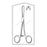 Sklar Instruments Forcep Tissue Allis Econo 6X7 Teeth 7.25" 50/Ca - 96-2774