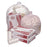 Pitt Plastics Bag Trash Nova+ 10Gal Hdpe 8Mic Regular 50/Roll 20 Rolls 24X24" Natural 1000/Ca - VMR24240MC