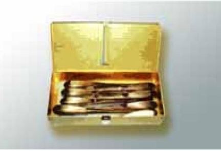Healthmark Industries BOX, ELEVATOR KEY PROTECH B/L/M 10"X5"X2" - 30011KE