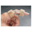 Northcoast Medical Splint Hinged Norco Lateral Pip 1-5/8" Size X-Small Ea - NC58745-0