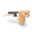Nasco Company Genitalia Model Training Male Ea - LF04075