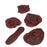 Nasco Company Clot/Hemorrhage Model Set Life/Form Each - LF00714U