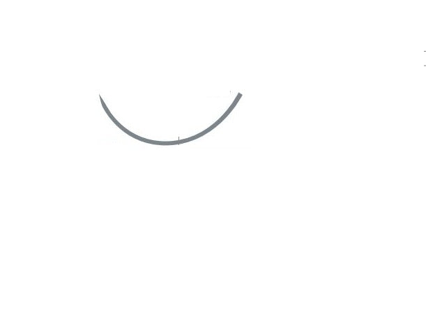 Circle Conventional Cutting Needle