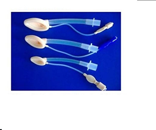 Vital Signs Pro Laryngeal Mask